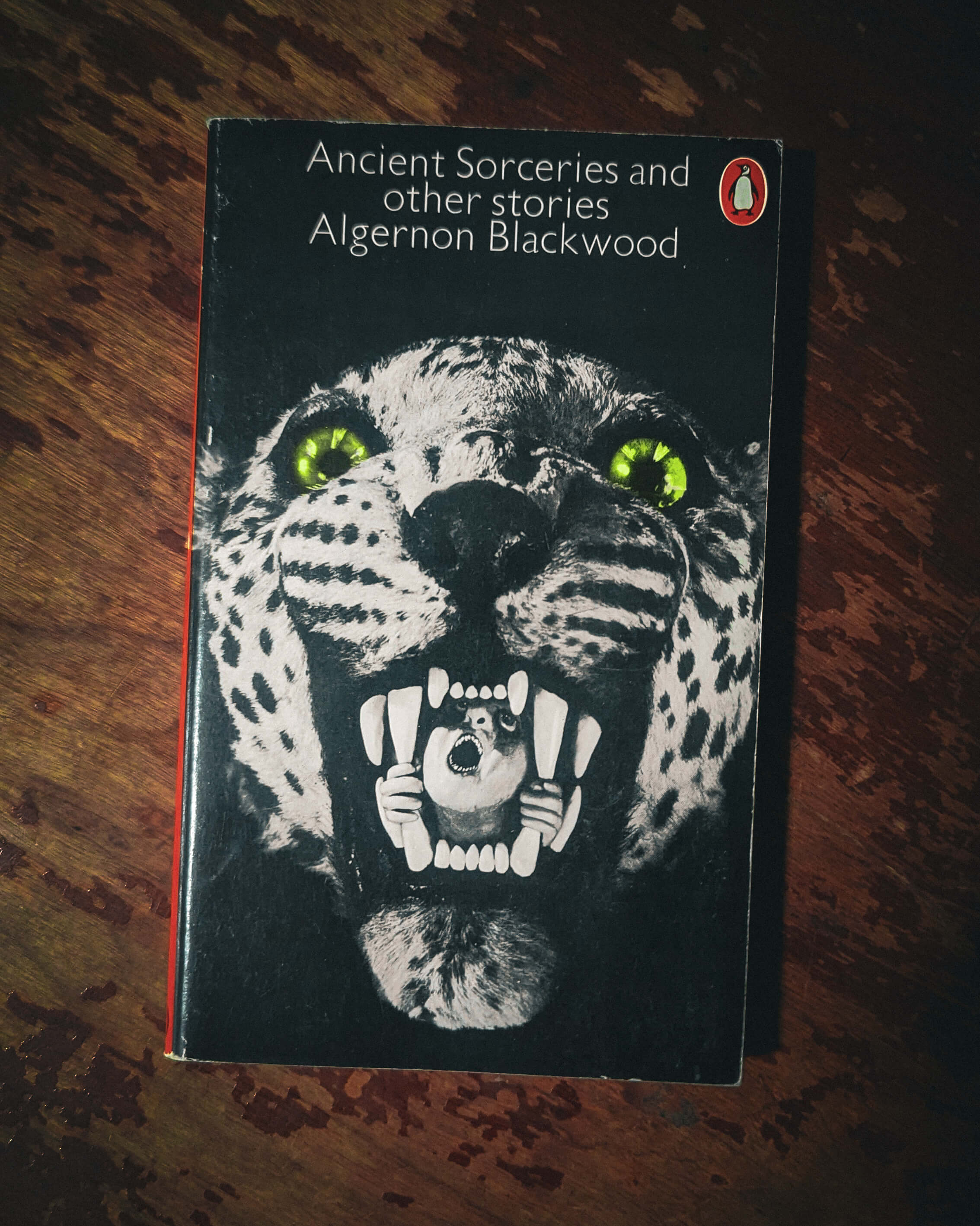 photo by beingcompiled