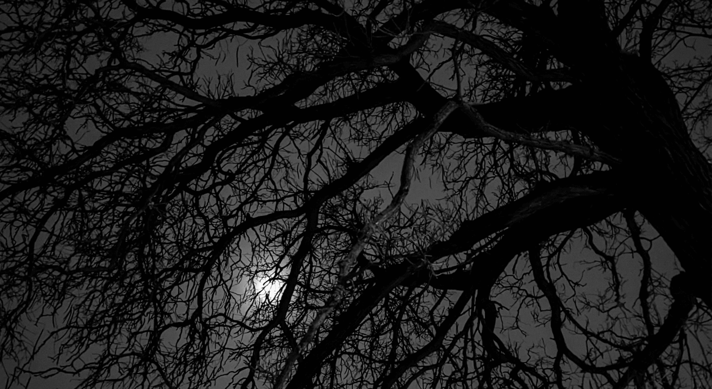 photo by beingcompiled