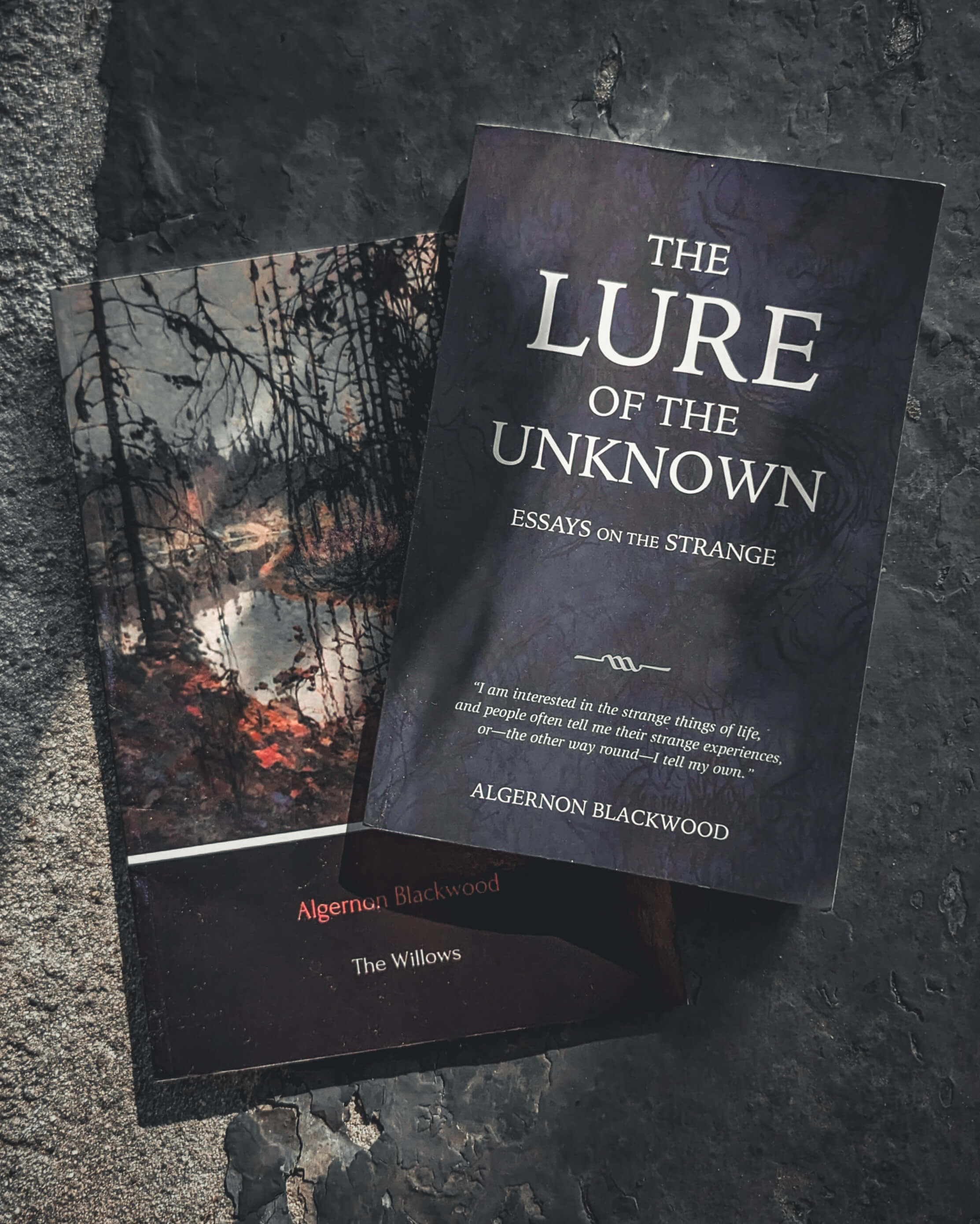 photo by beingcompiled