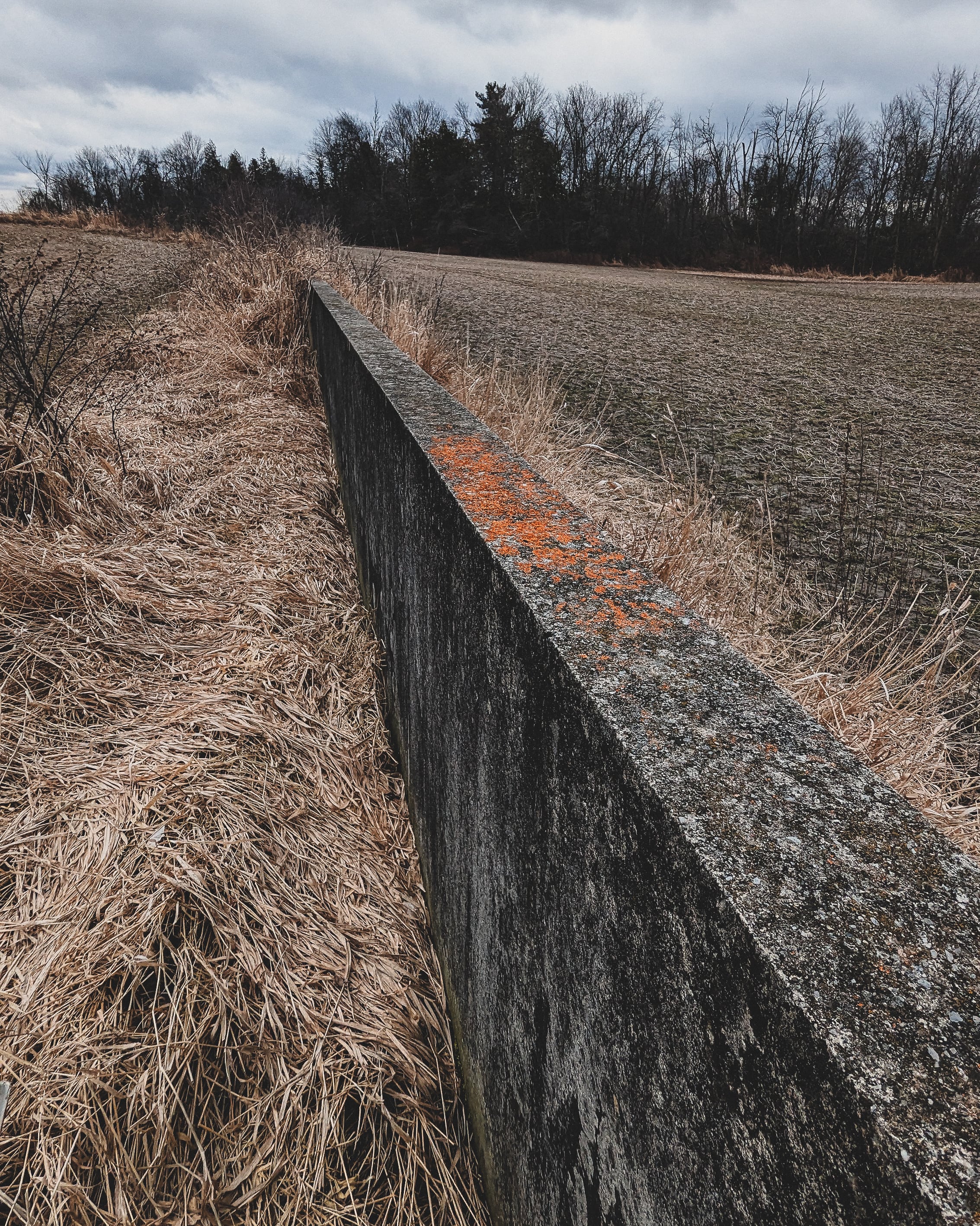 photo by beingcompiled